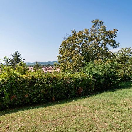 Le Nichoir De La Colline - Parking & Wifi Leilighet Obernai Eksteriør bilde