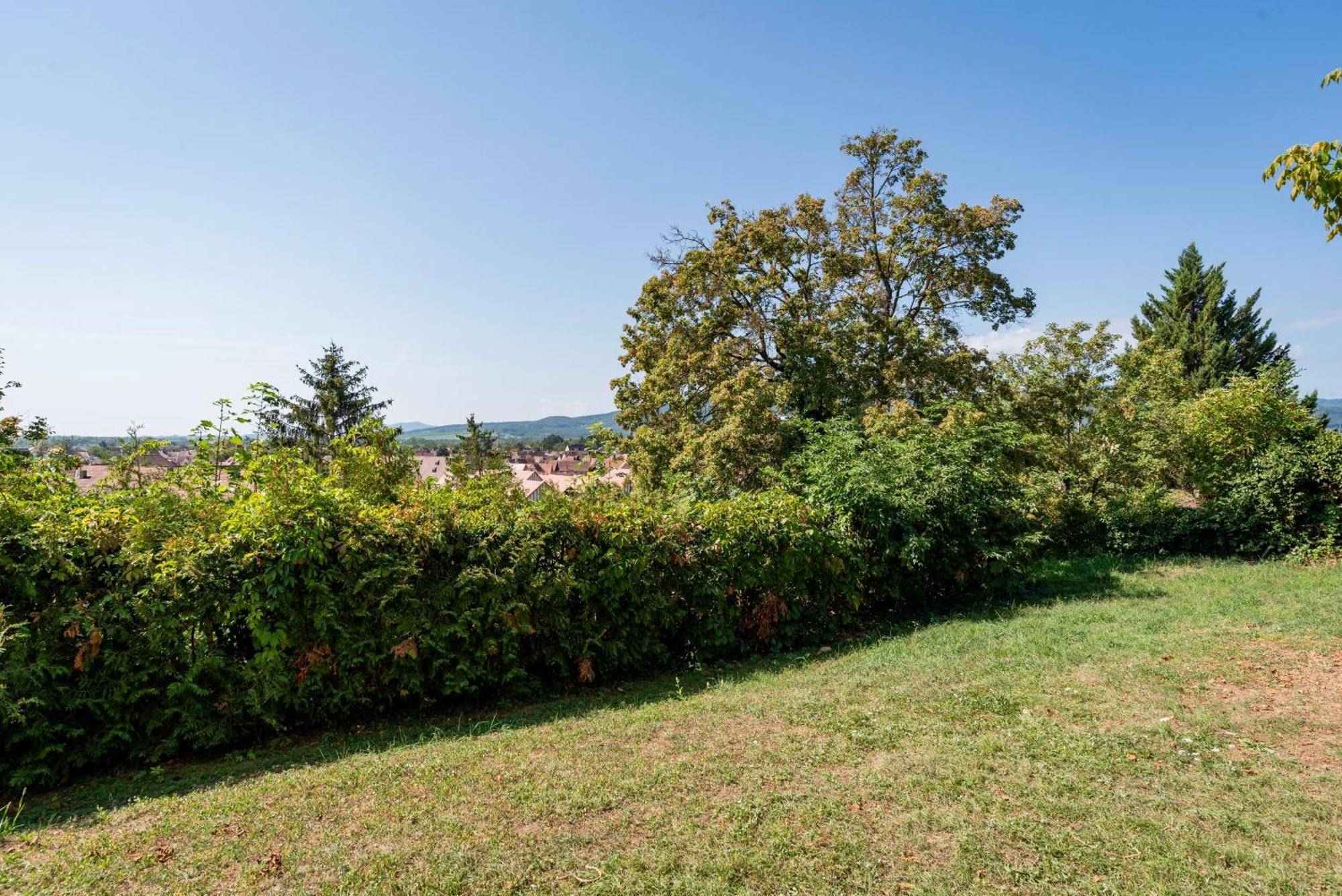 Le Nichoir De La Colline - Parking & Wifi Leilighet Obernai Eksteriør bilde